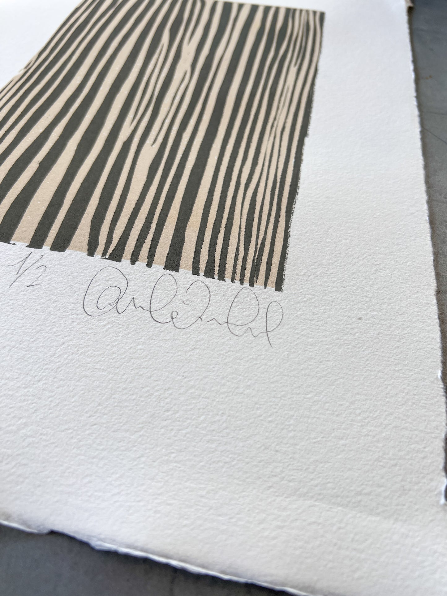 Livets veje 1/2 & 2/2