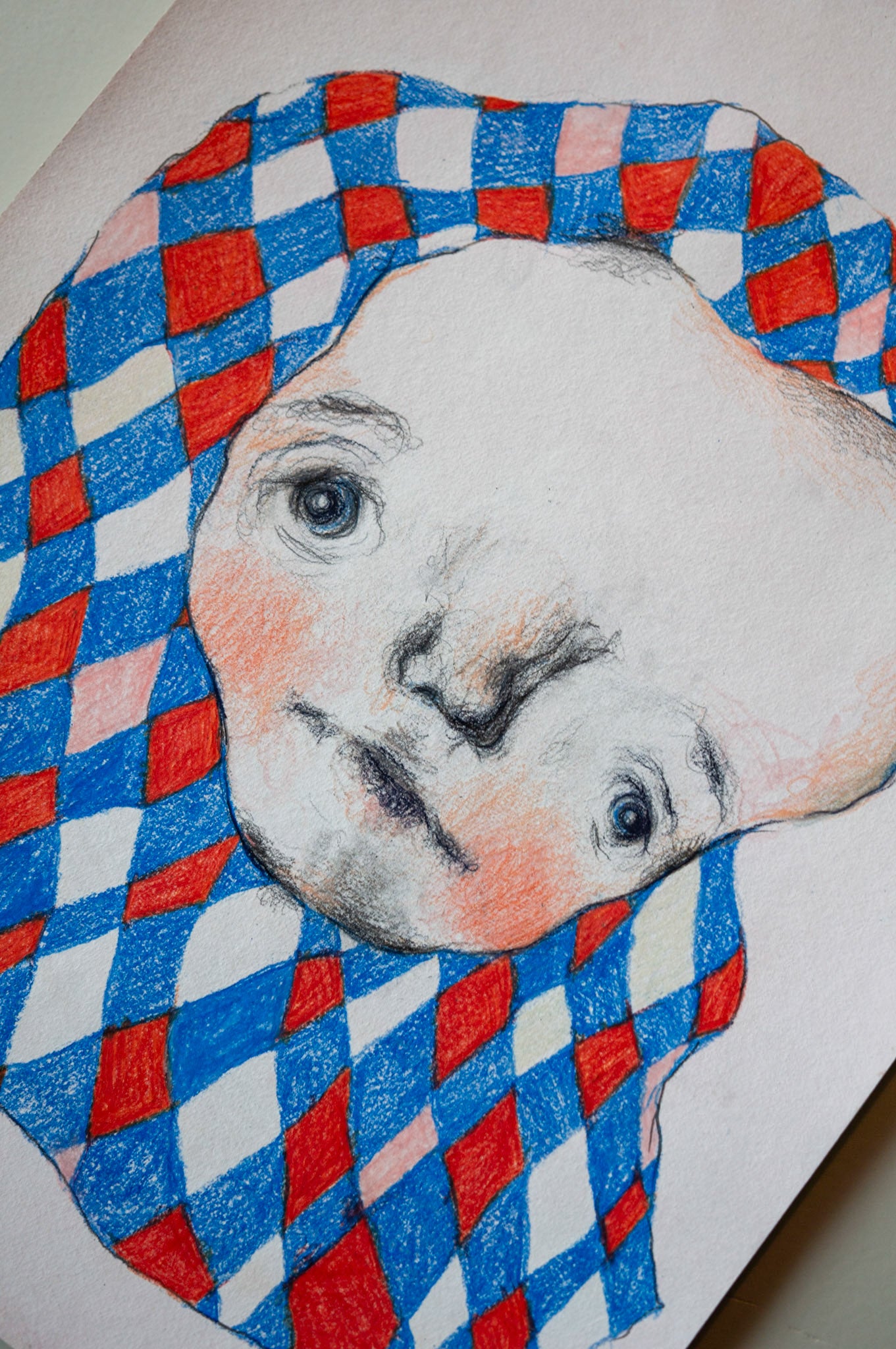 Blue and red harlequin