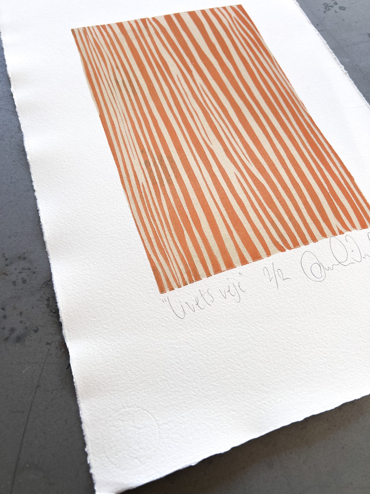 Livets veje 1/2 & 2/2