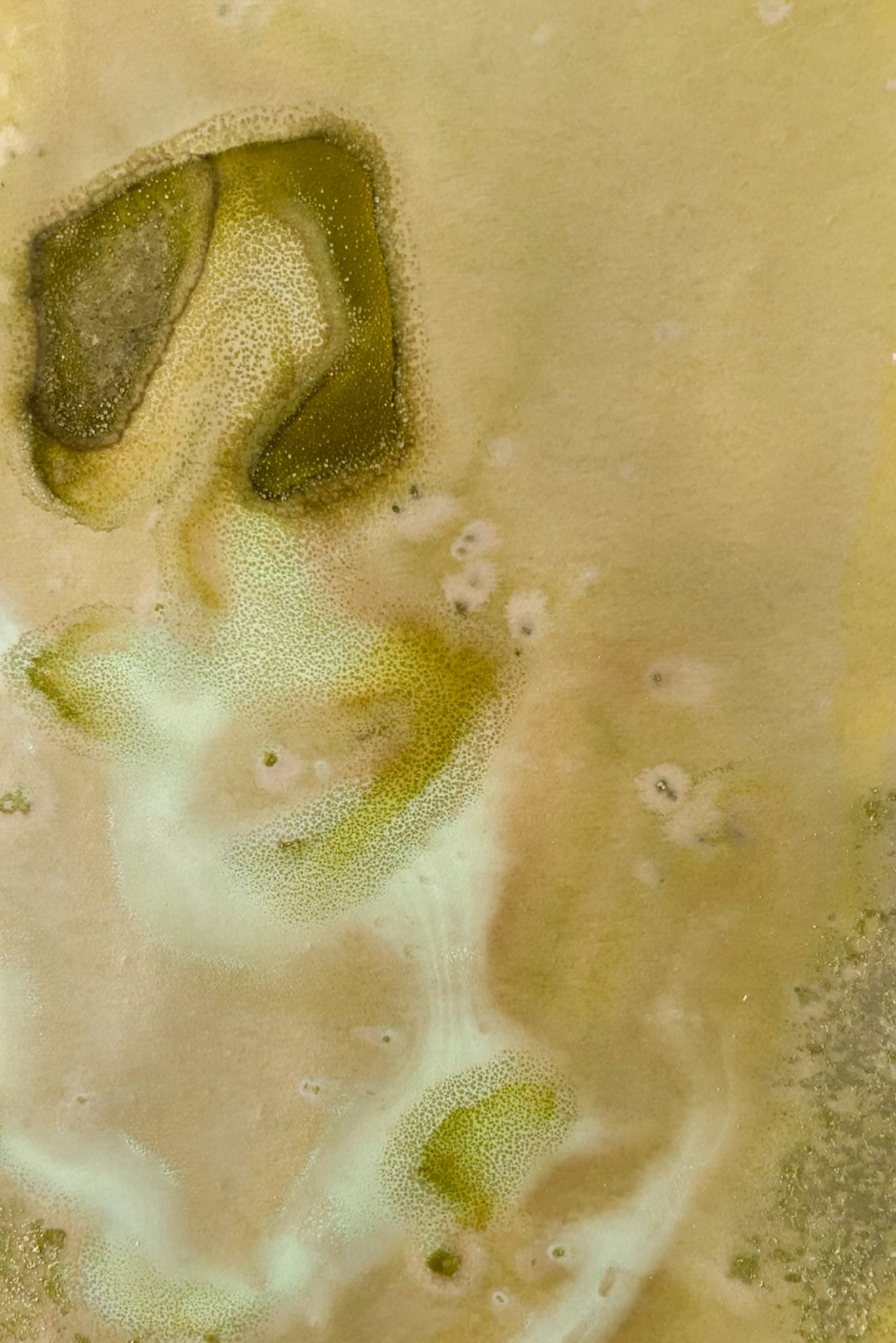 Udslip
