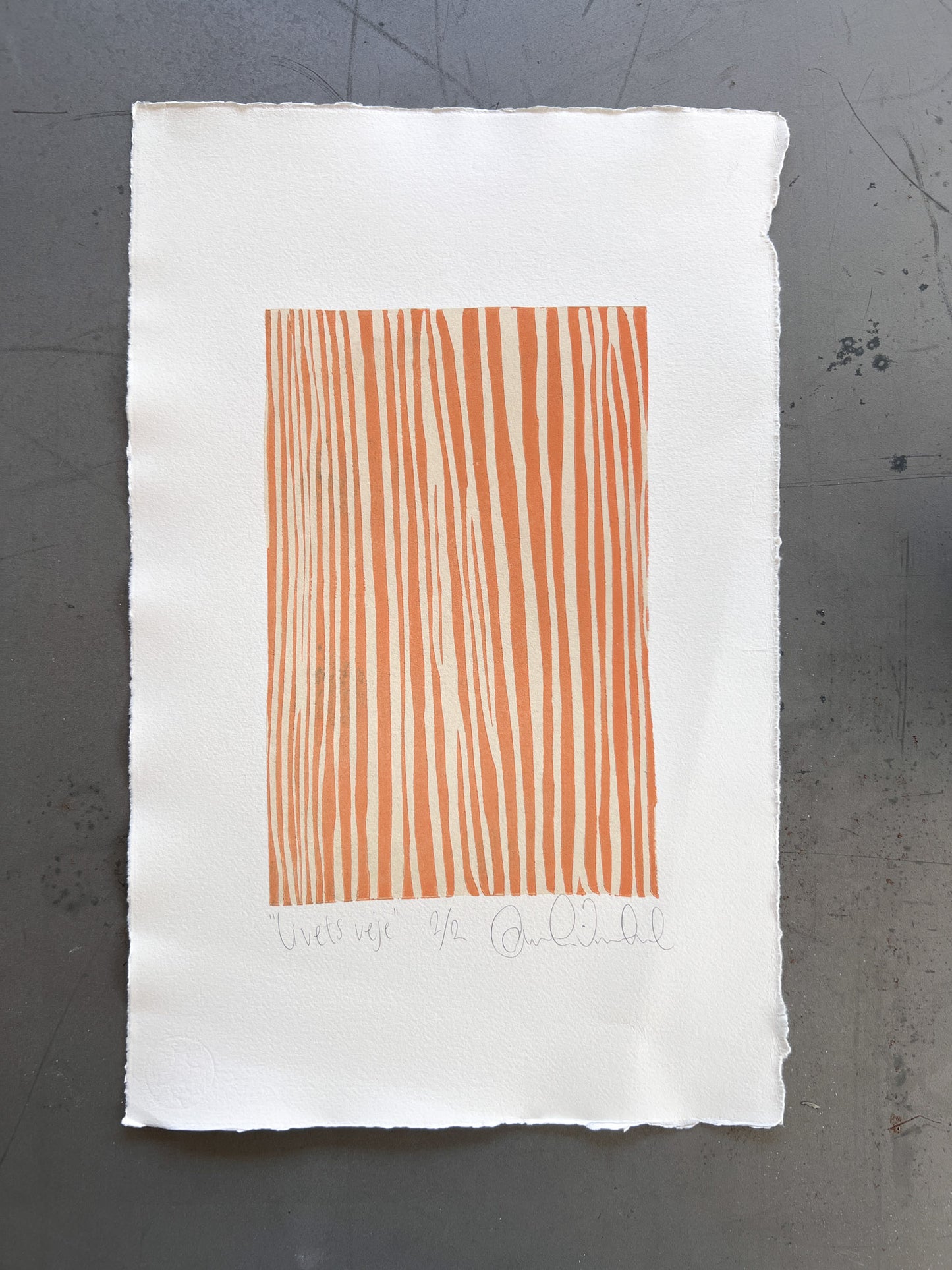 Livets veje 1/2 & 2/2