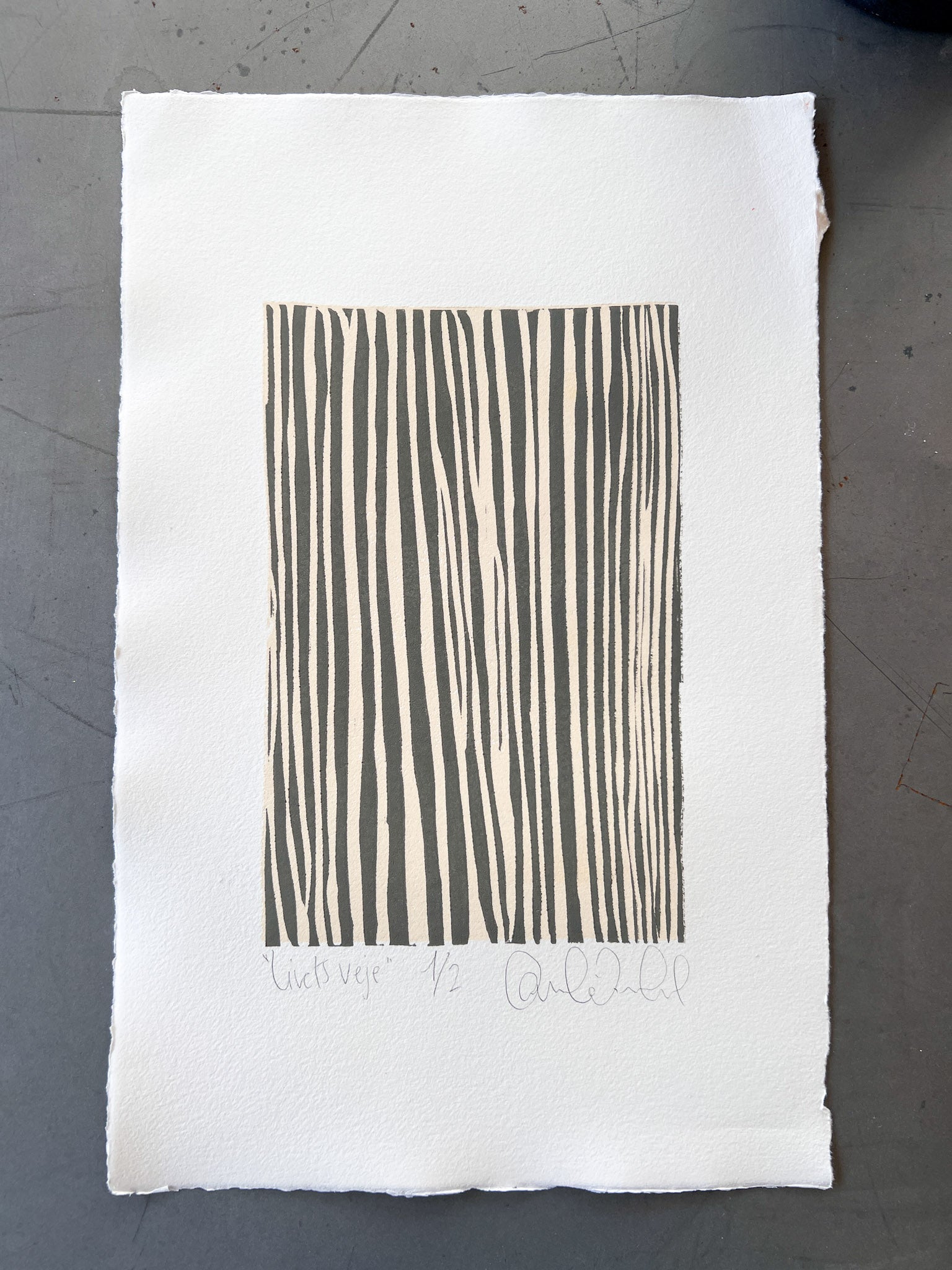 Livets veje 1/2 & 2/2