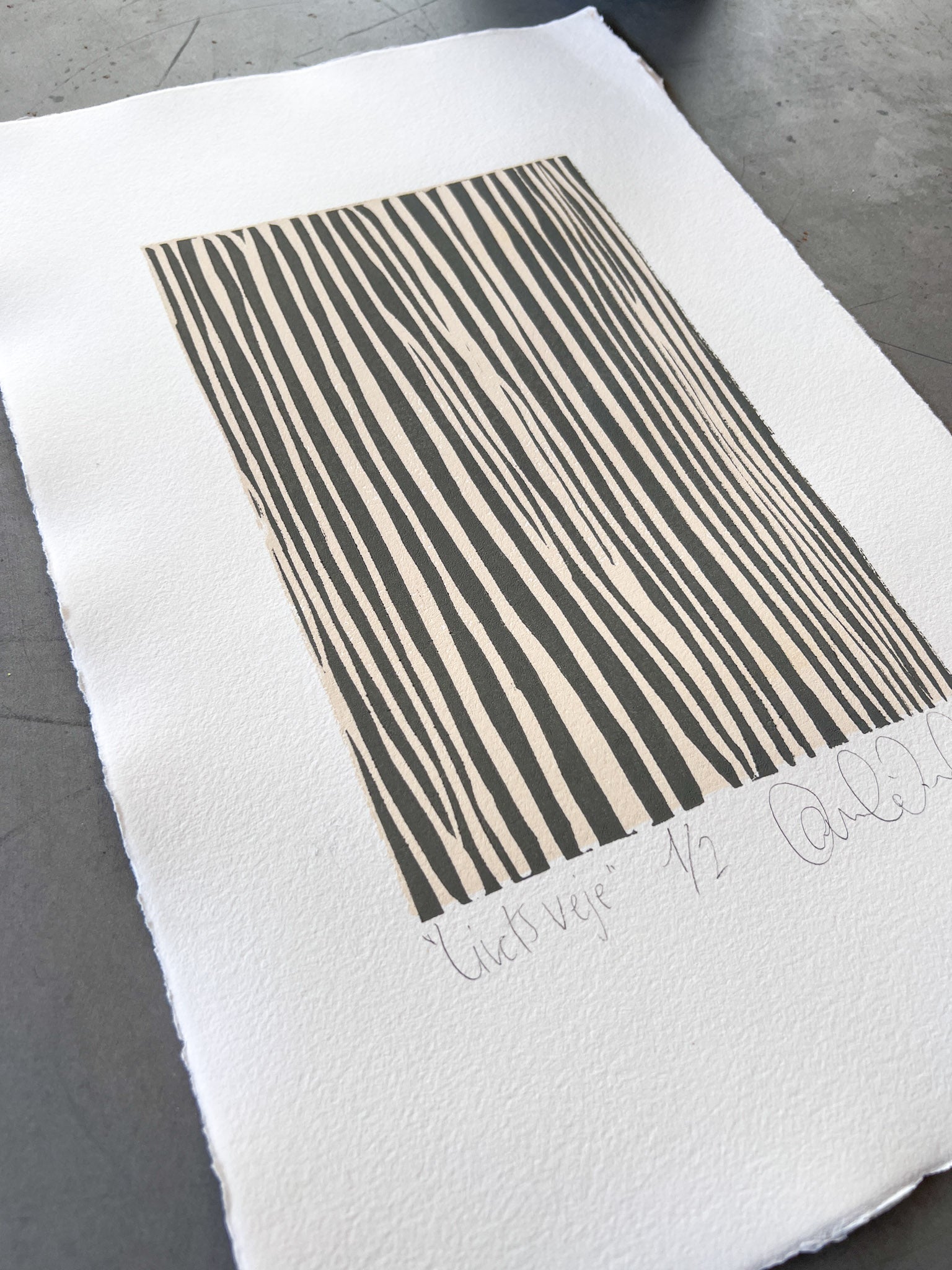 Livets veje 1/2 & 2/2